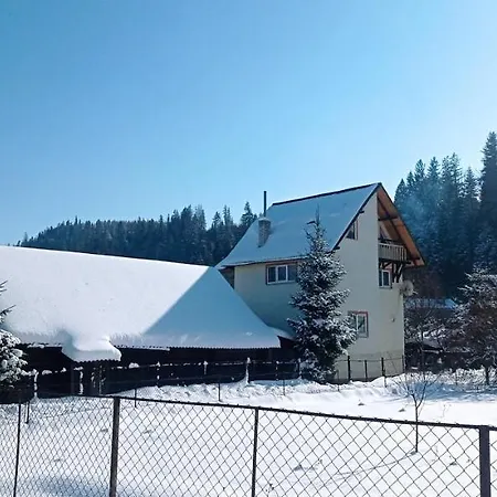 колорит Guest house *